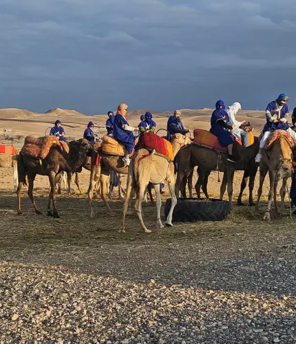 Sahara Camel Ride