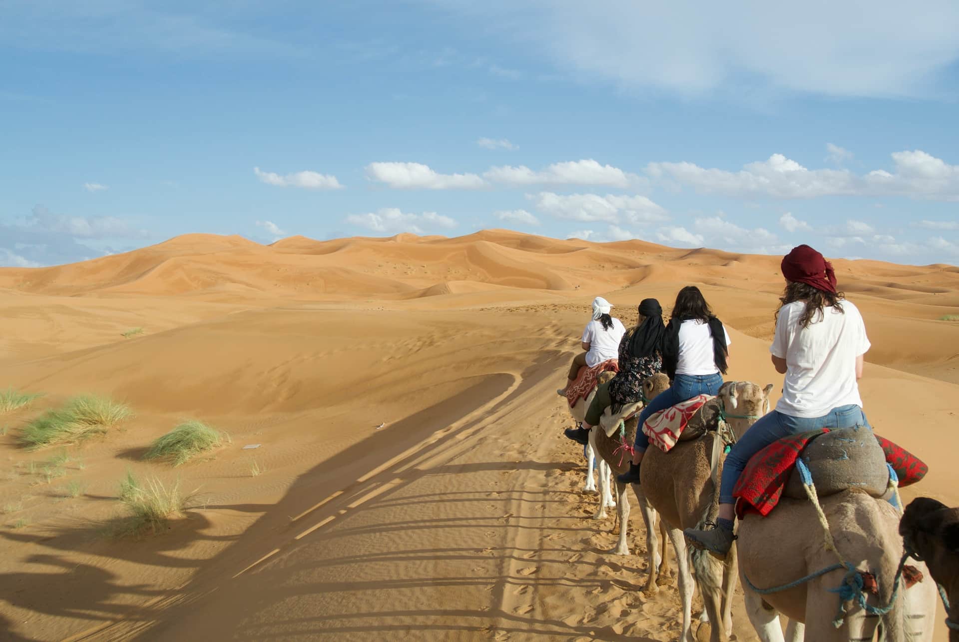 Women's Wellness Journey: 7 Days from Fez to Marrakech, 7-day private tour from Fez, Morocco