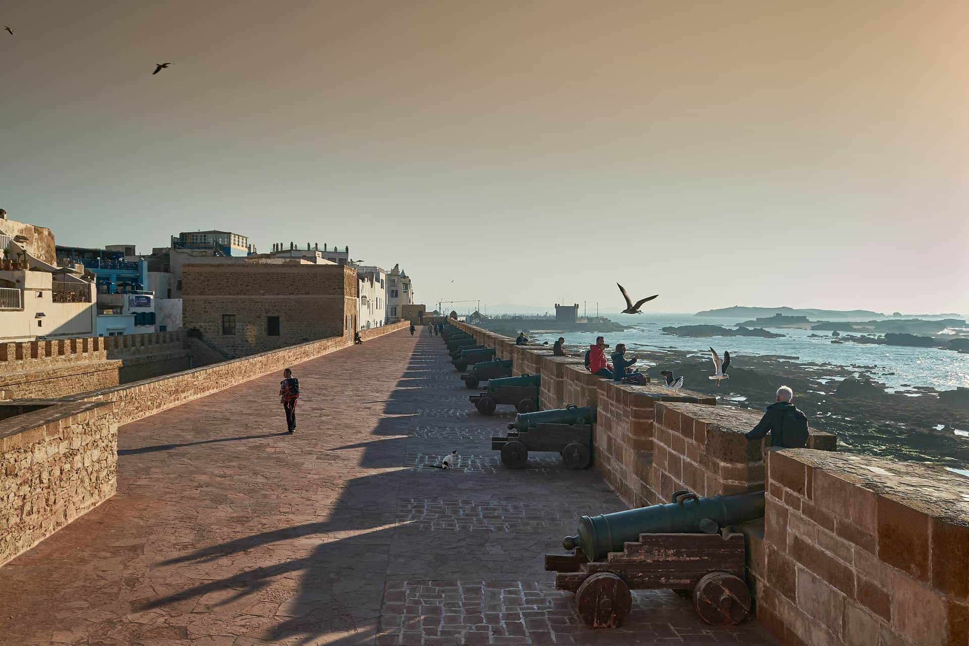 5-Day Taghazout Surf & Culture Tour from Marrakech, 5-day private tour from Marrakech, Morocco