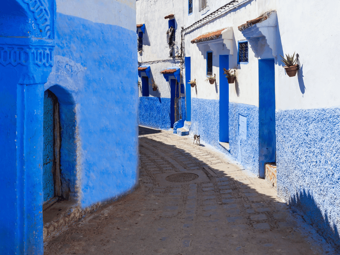 4-Day Casablanca to Chefchaouen and Tangier Tour, private Morocco tour