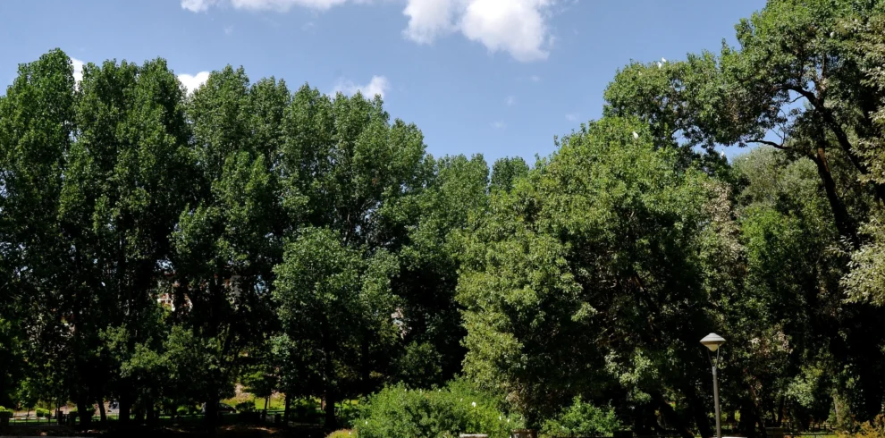 Ifrane park