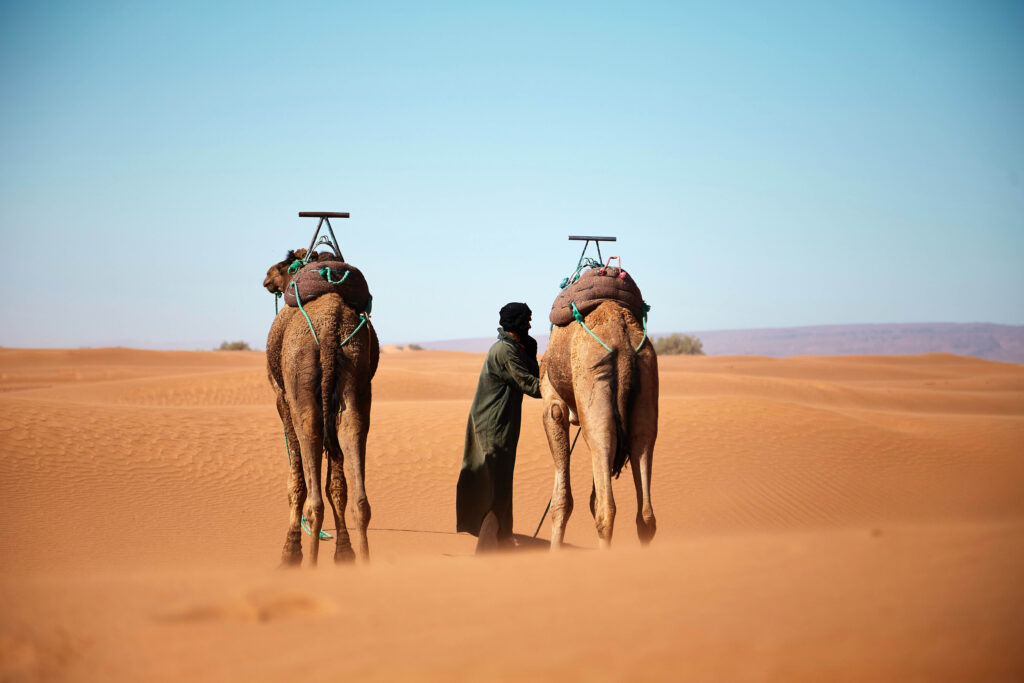 Morocco desert tours