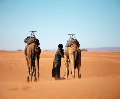 Morocco desert tours