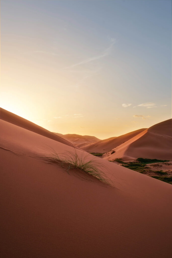Sahara Dunes